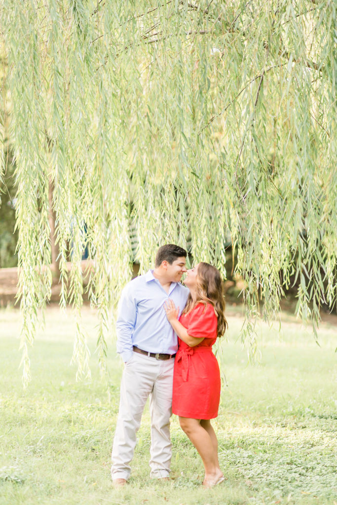 fort worth willow tree engagement